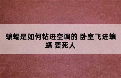 蝙蝠是如何钻进空调的 卧室飞进蝙蝠 要死人